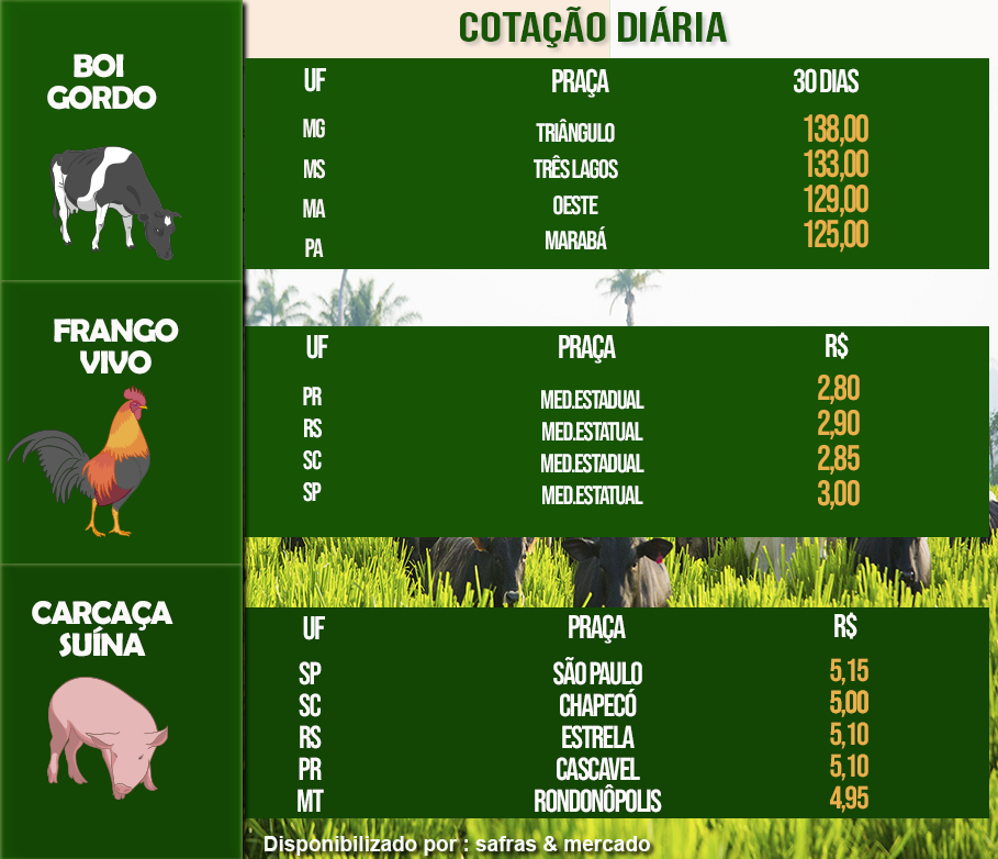 Indicadores